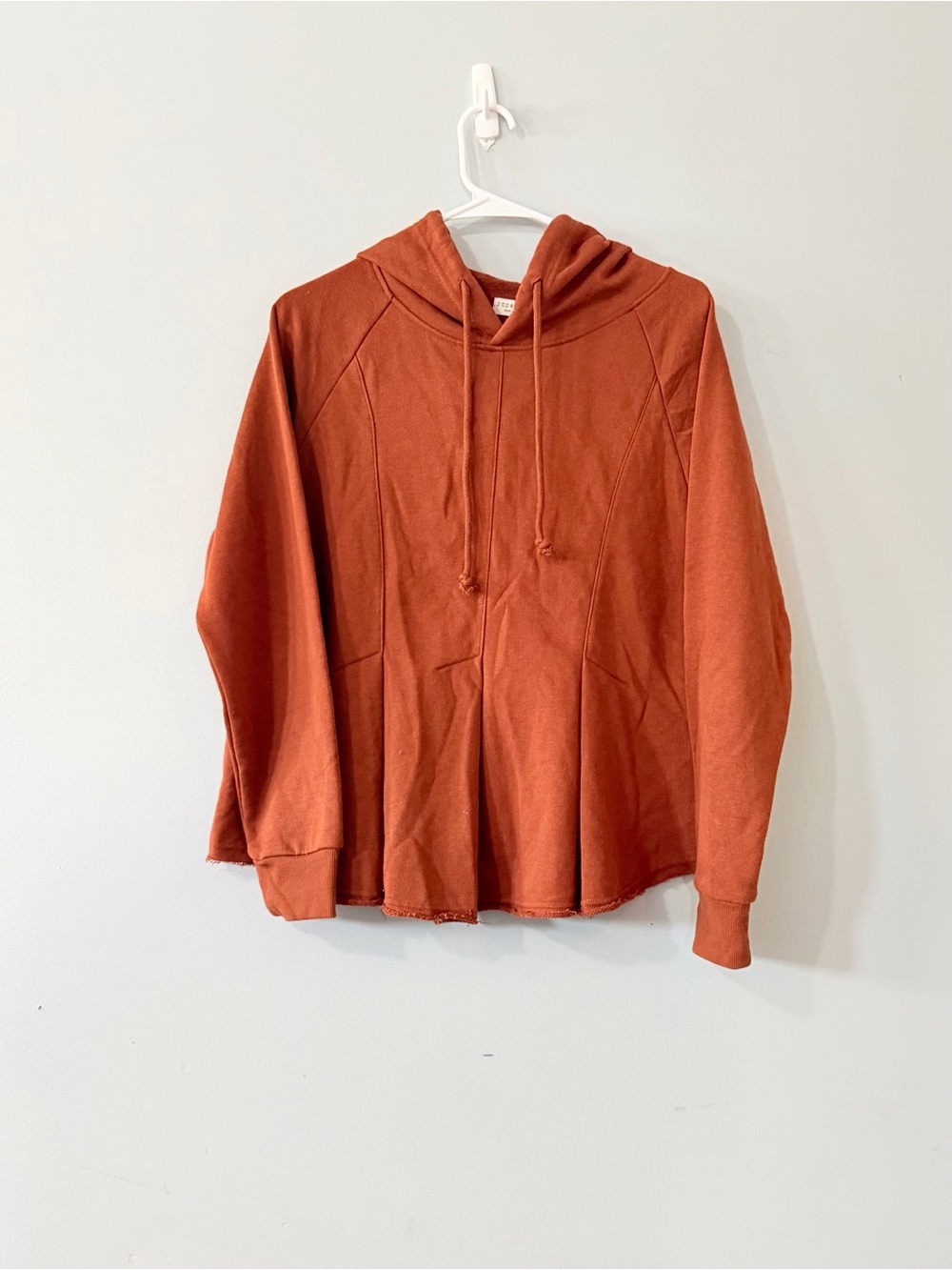 Paper Crane Rust Orange Hooded Women's Pullover Sweater